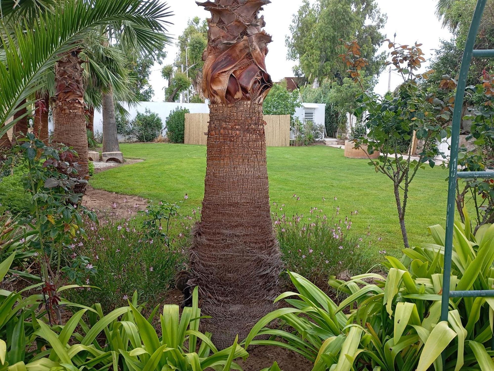 Villa Au Bout Du Jardin Cartagine Esterno foto