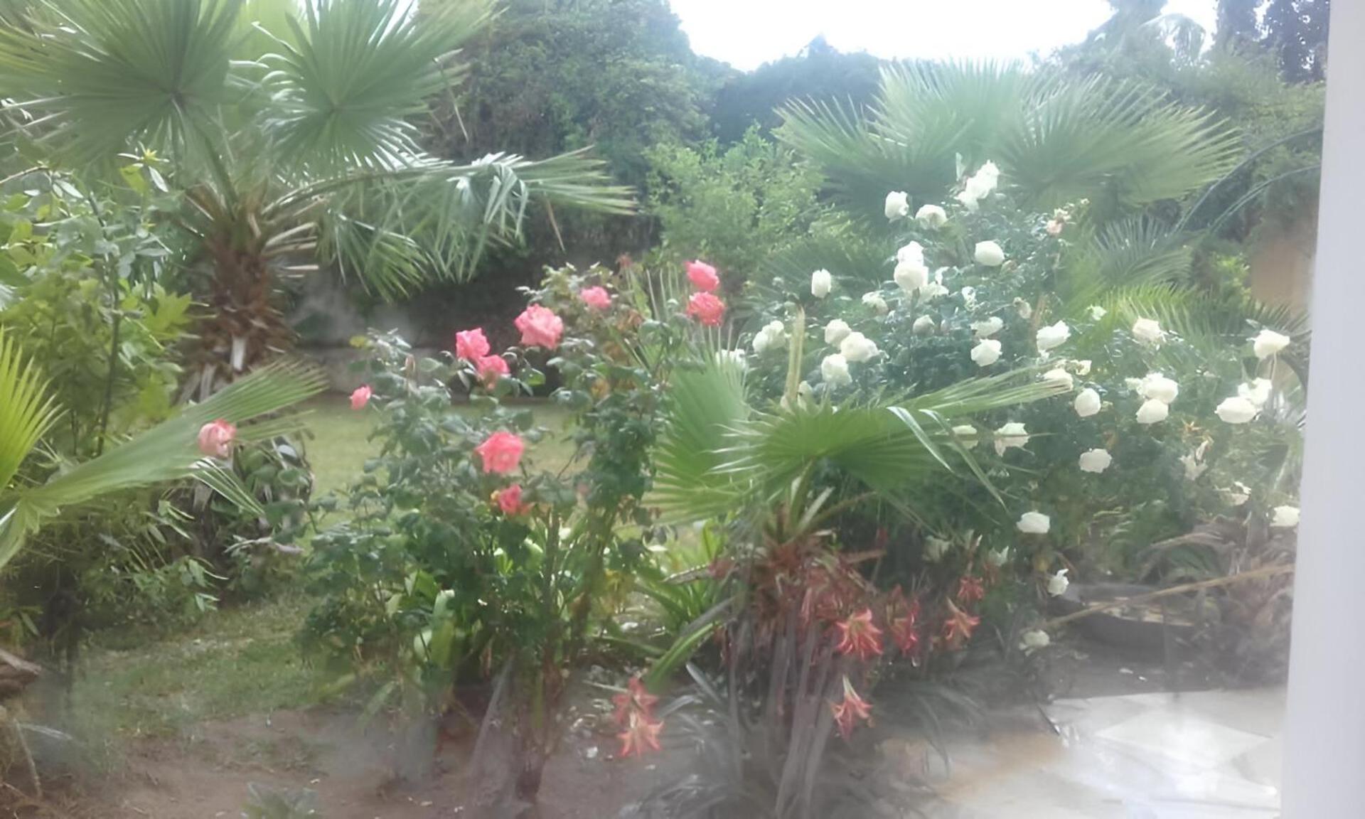 Villa Au Bout Du Jardin Cartagine Esterno foto